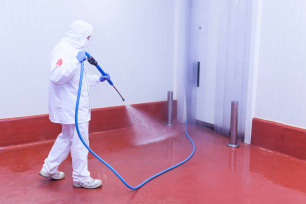 Best Residential Pressure Washing in Middleburg, FL
